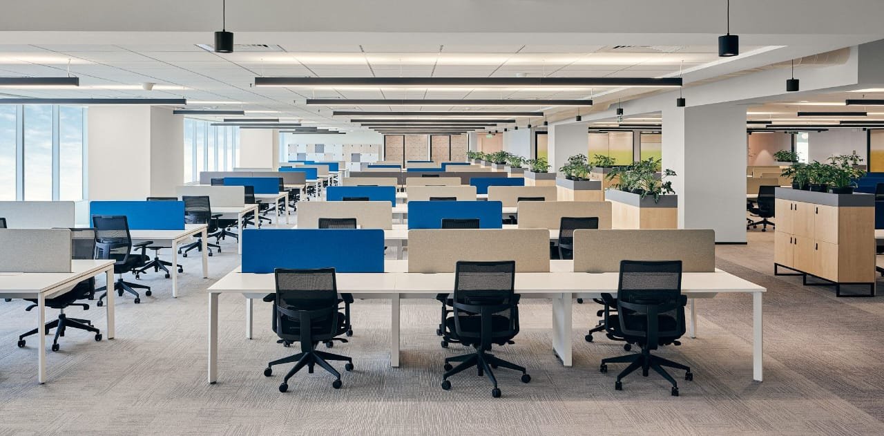 our office 2